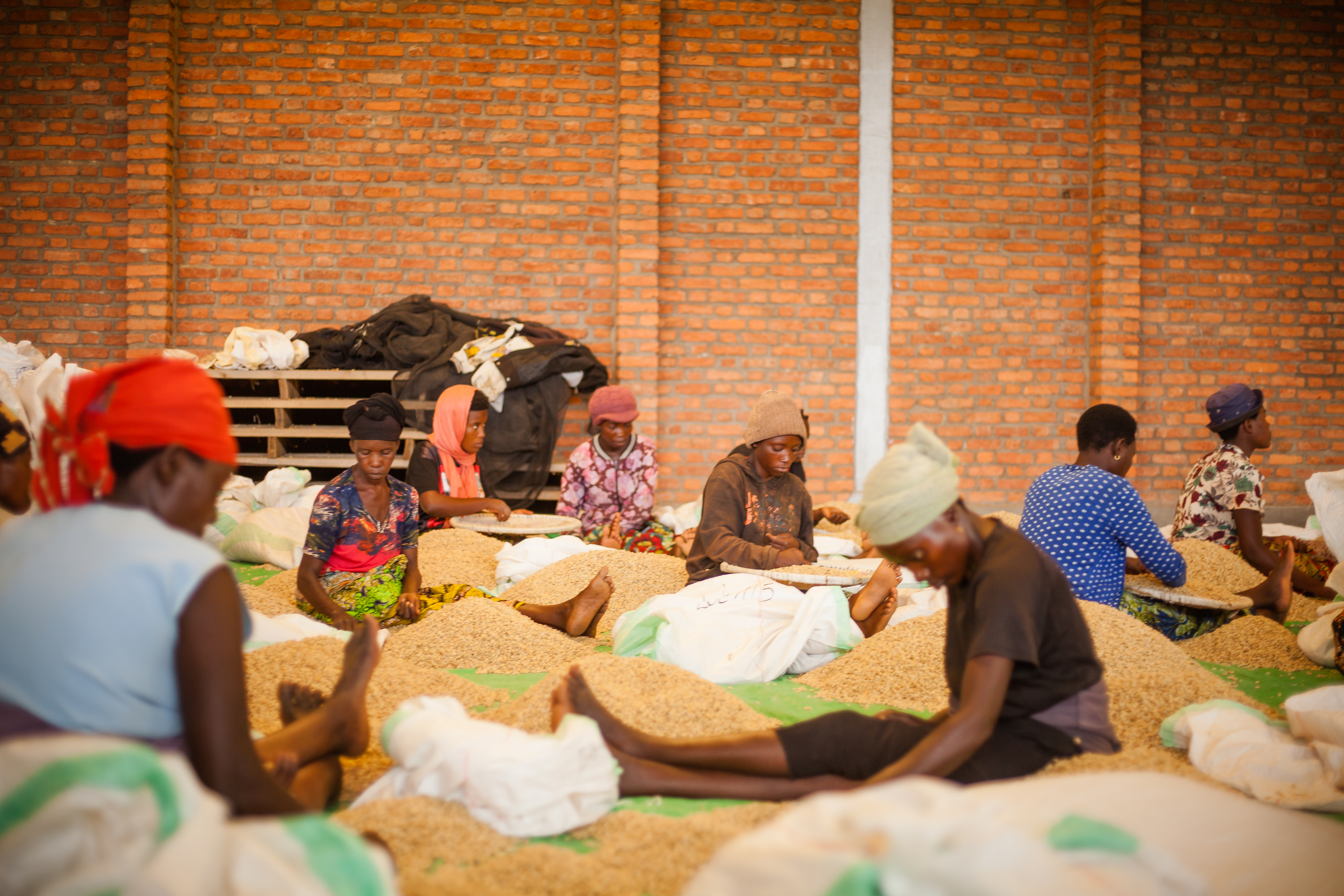 Coffee bags prepared for export